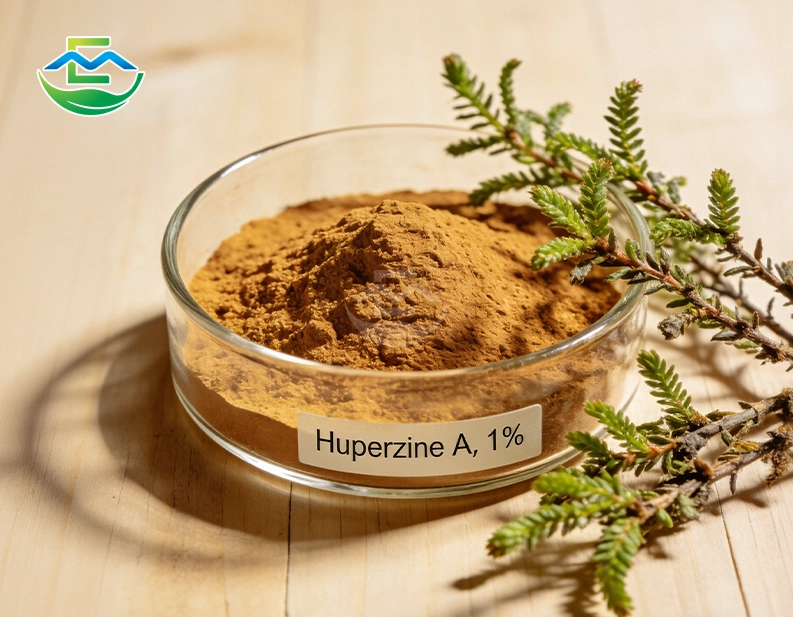 Huperzine A 1% Powder Bulk